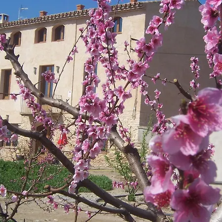 Mas Taniet Rural