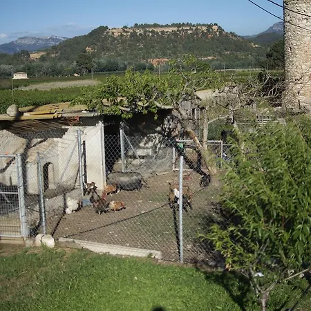 Casa rural Mas Taniet Rural