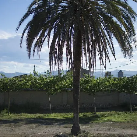 Летний дом Mas Taniet Rural Benissanet