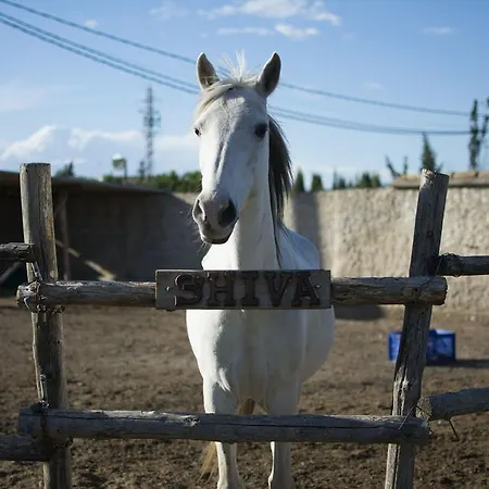 Летний дом Mas Taniet Rural *