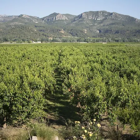 Mas Taniet Rural Летний дом Benissanet